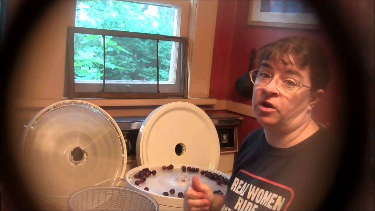'Video thumbnail for Dehydrating Grapes - Sheri Ann Richerson ExperimentalHomesteader.com'