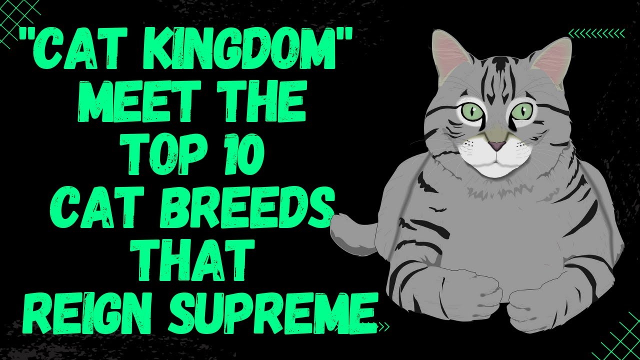 All Cat Breeds - All Types of Cats (78 Breeds)