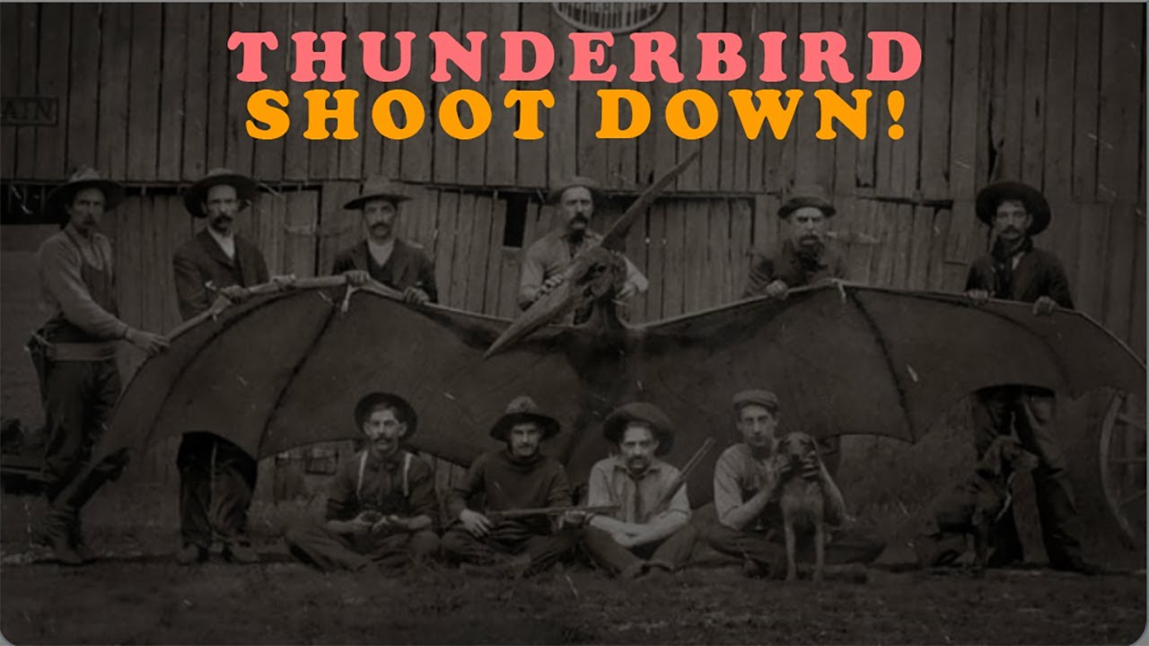 'Video thumbnail for In Arizona, 1890, did ranchers shoot down a Thunderbird?'