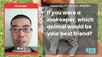 Video thumbnail for As a zookeeper, Wei's best friend would be a lion. Powerful indeed!