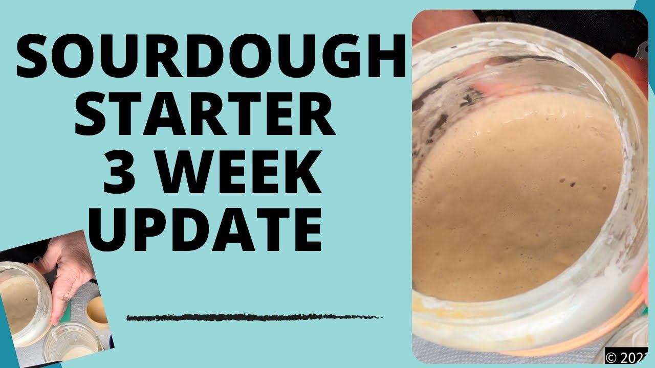 'Video thumbnail for Sourdough Starter Three Week Update'