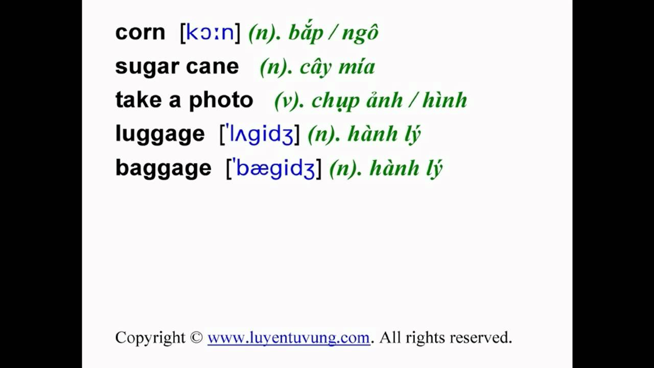 'Video thumbnail for Learn English Vocabulary - Grade 8 - Unit 11 - Lesson 01'