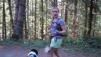 'Video thumbnail for Loose leash walking in a distracting environment'
