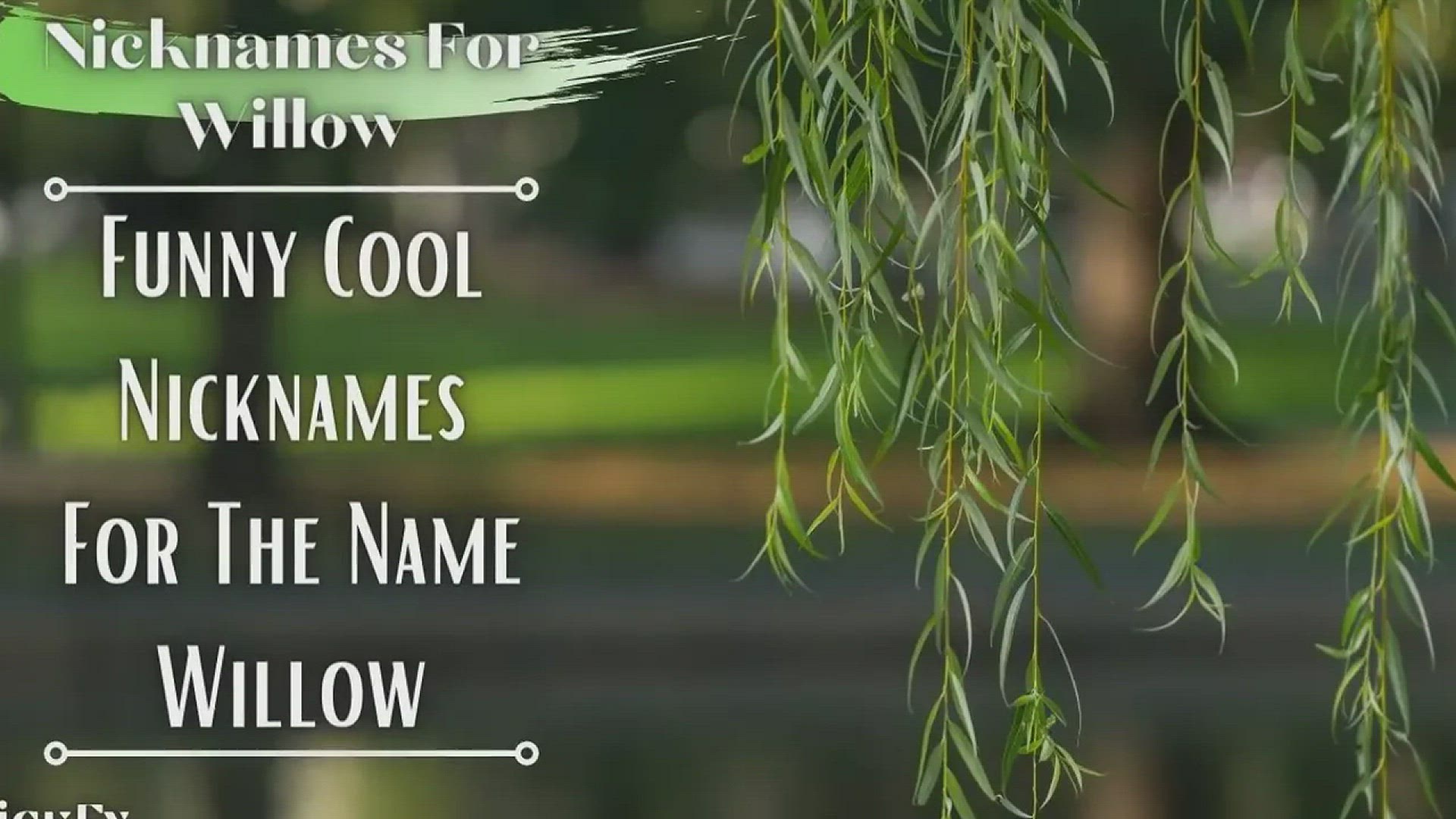 Video thumbnail for Nicknames For Willow | 65+ Funny Cute Nicknames For Name Willow