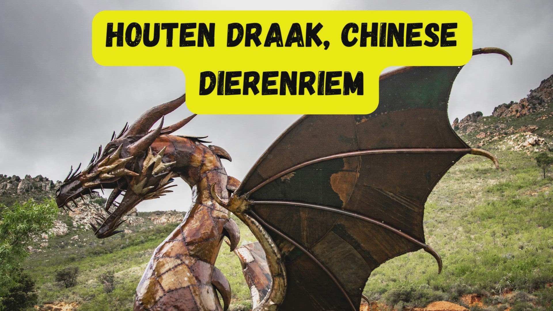 Video thumbnail for houten draak, chinese dierenriem