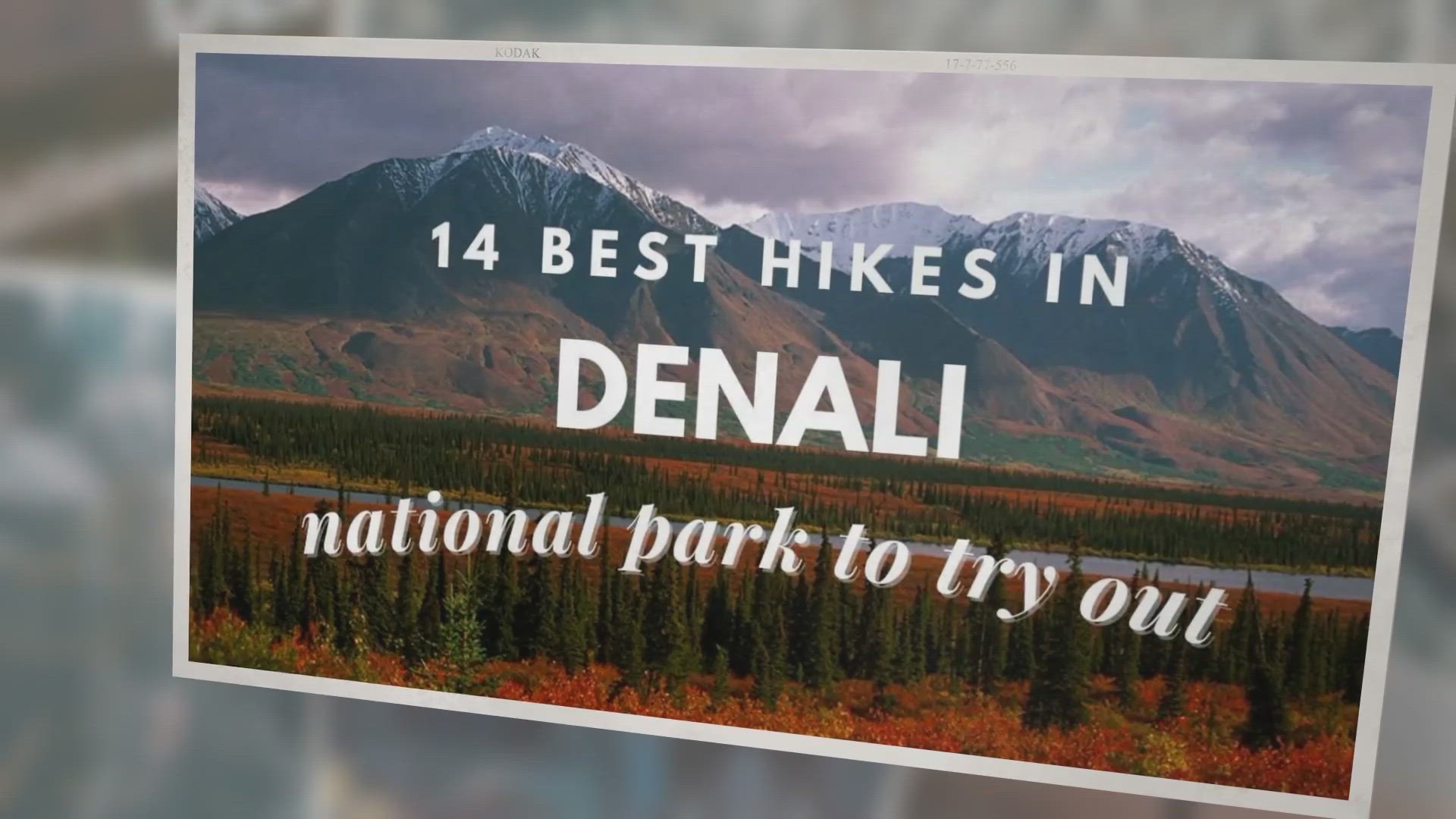 Off the Beaten Path in Denali National Park - Denali Air