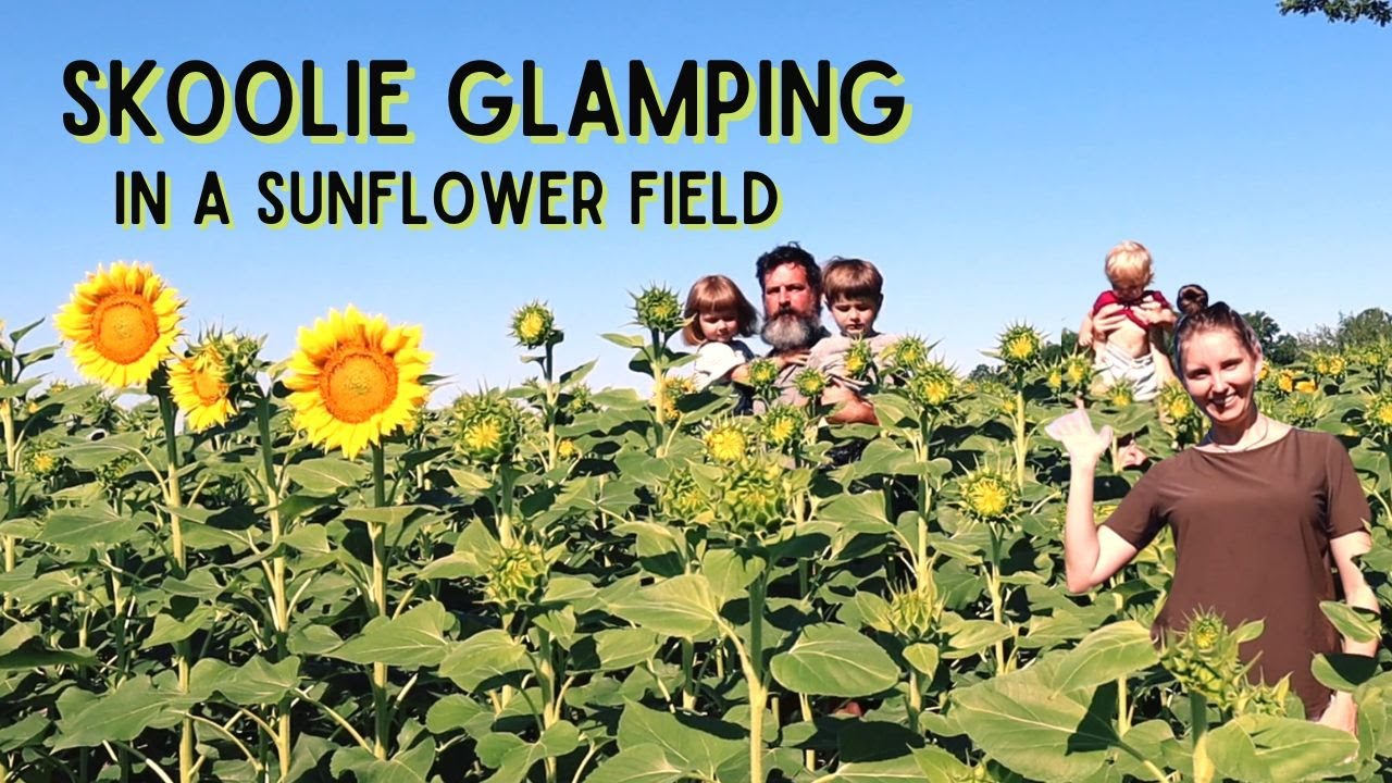 Video thumbnail for Magical Skoolie Glamping in a Sunflower Field | Destination Unknown School Bus Conversion