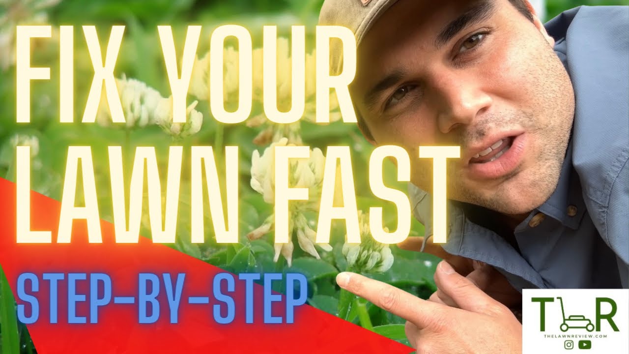'Video thumbnail for Get Rid Of Clover, Dandelion, & Other Weeds FAST'