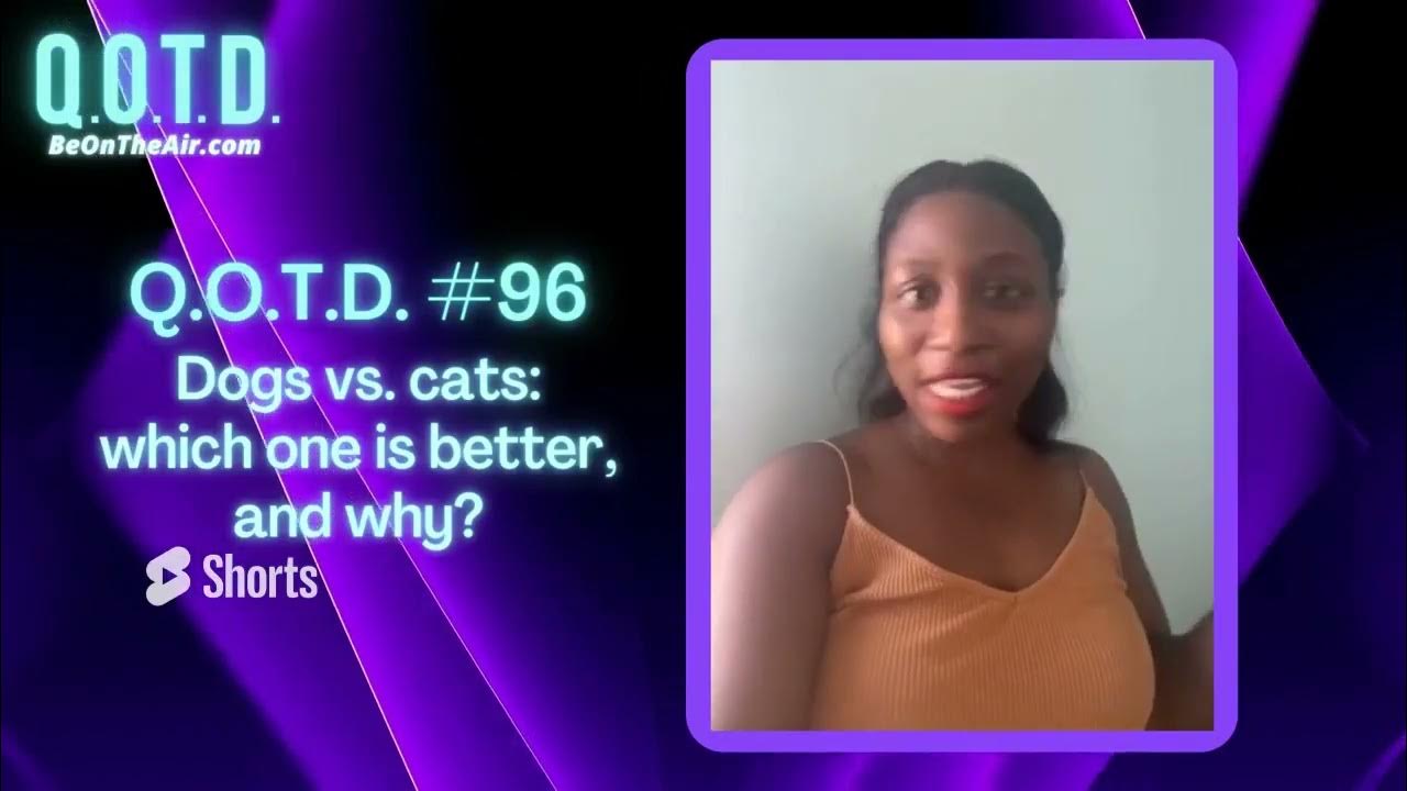 Playlist thumbnail for QOTD #00096: Cats vs Dogs. Who's best?