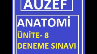 'Video thumbnail for Anatomi Ünite -8 Deneme Testi ve notlar(Periferik Sinir Sistemi)'