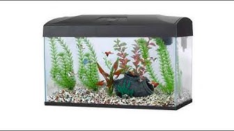 Video thumbnail for Reviews Fish R Fun Rectangular Aquarium, 54 Litre, 58.5 x 30.5 x 38.5 cm, Black