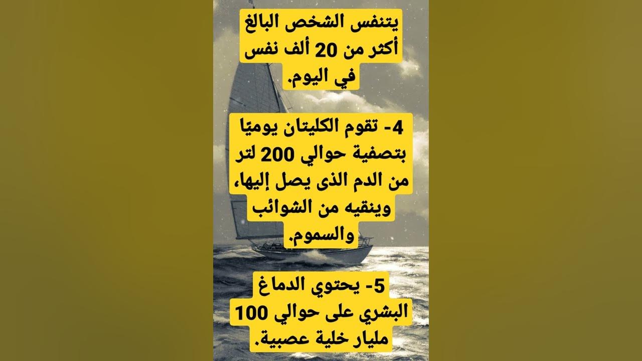 Video thumbnail for معلومات عن جسم الانسان