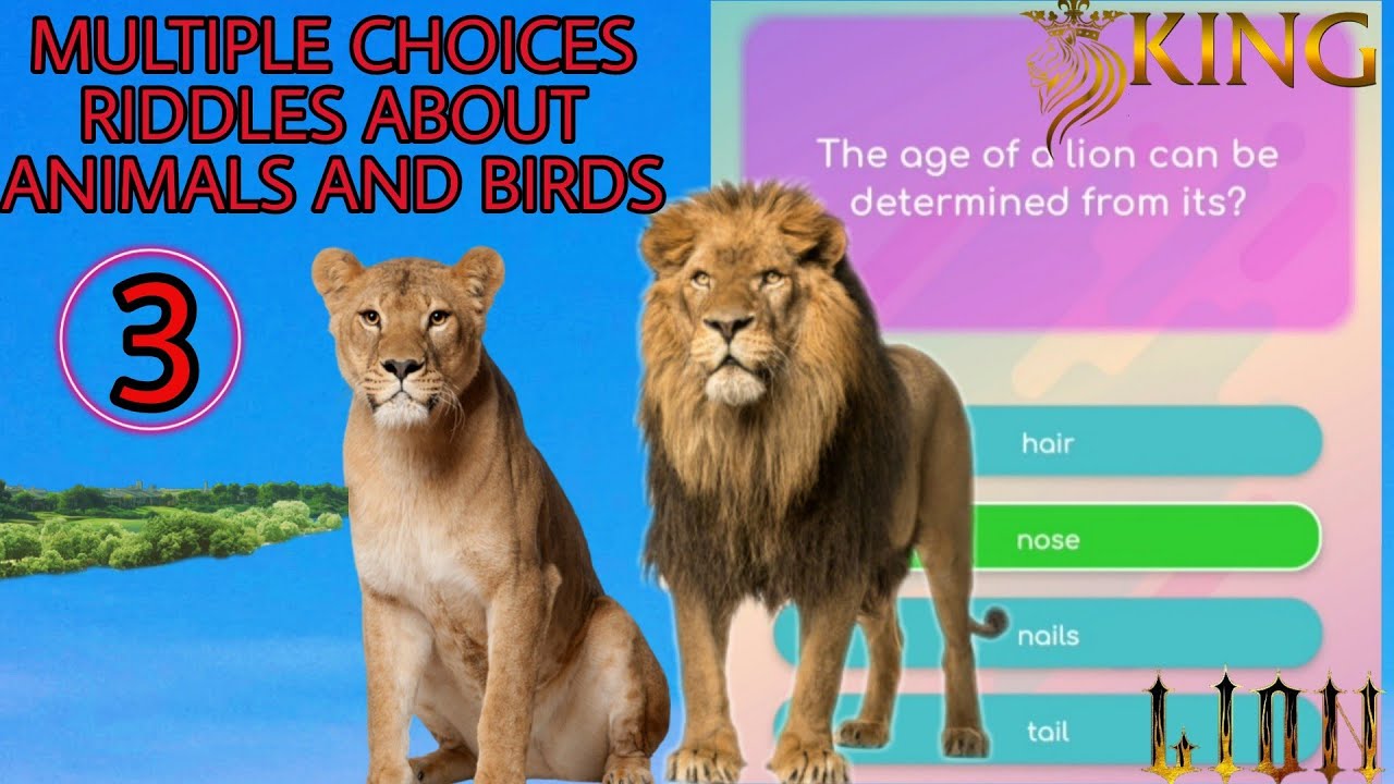 'Video thumbnail for Multiple choice riddles about animals and birds #3 | Which part of a lion can be determined its age?'