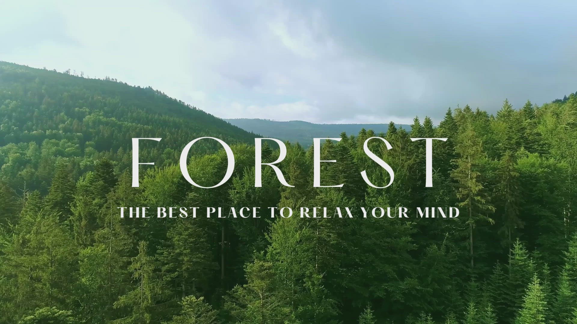 Video thumbnail for forest is best place to relax your mind