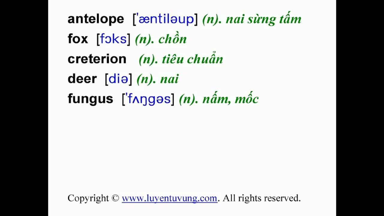 'Video thumbnail for Learn English Vocabulary - Grade 12 - Unit 09 - Lesson 02'