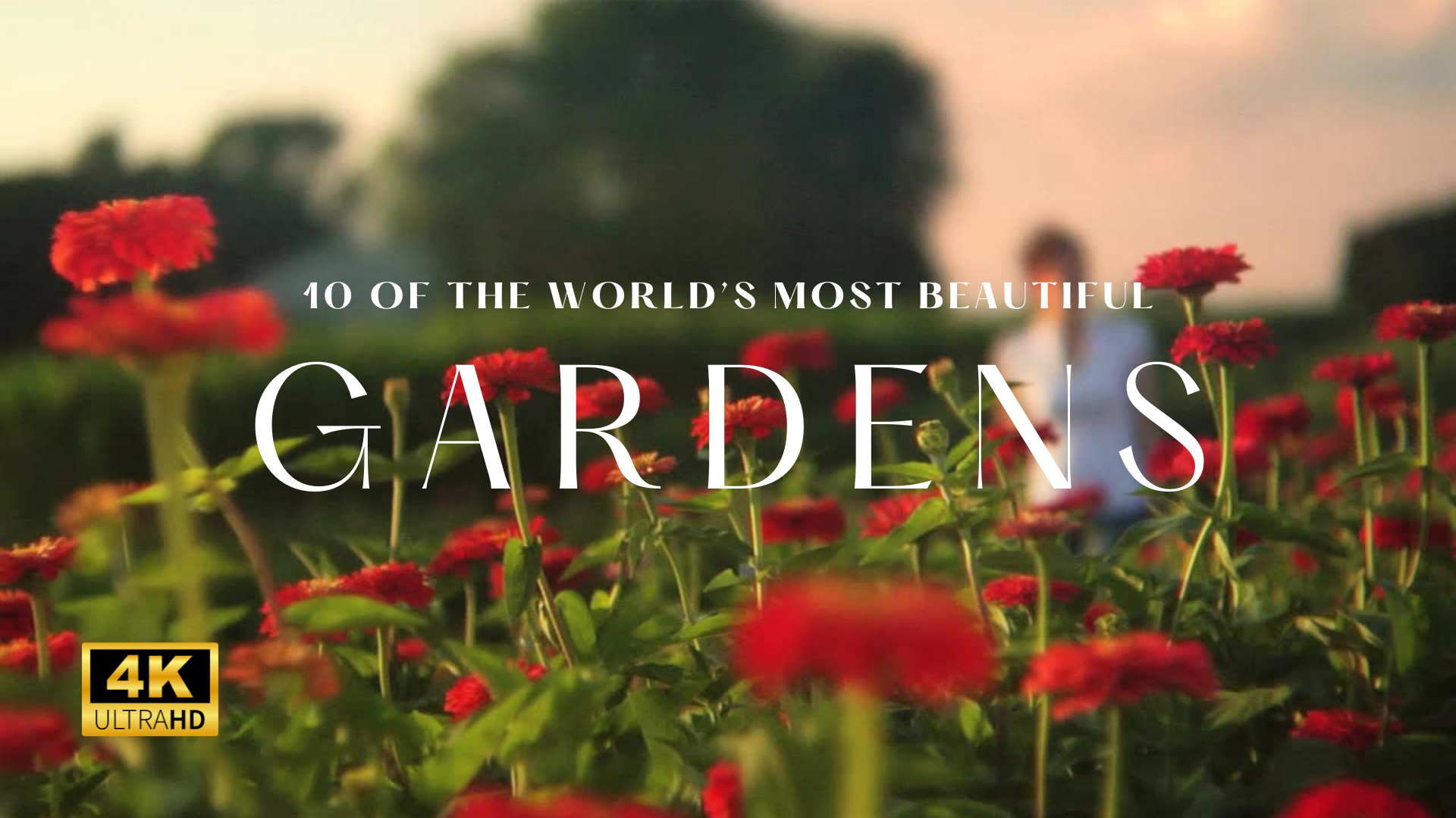 Playlist thumbnail for Gardening