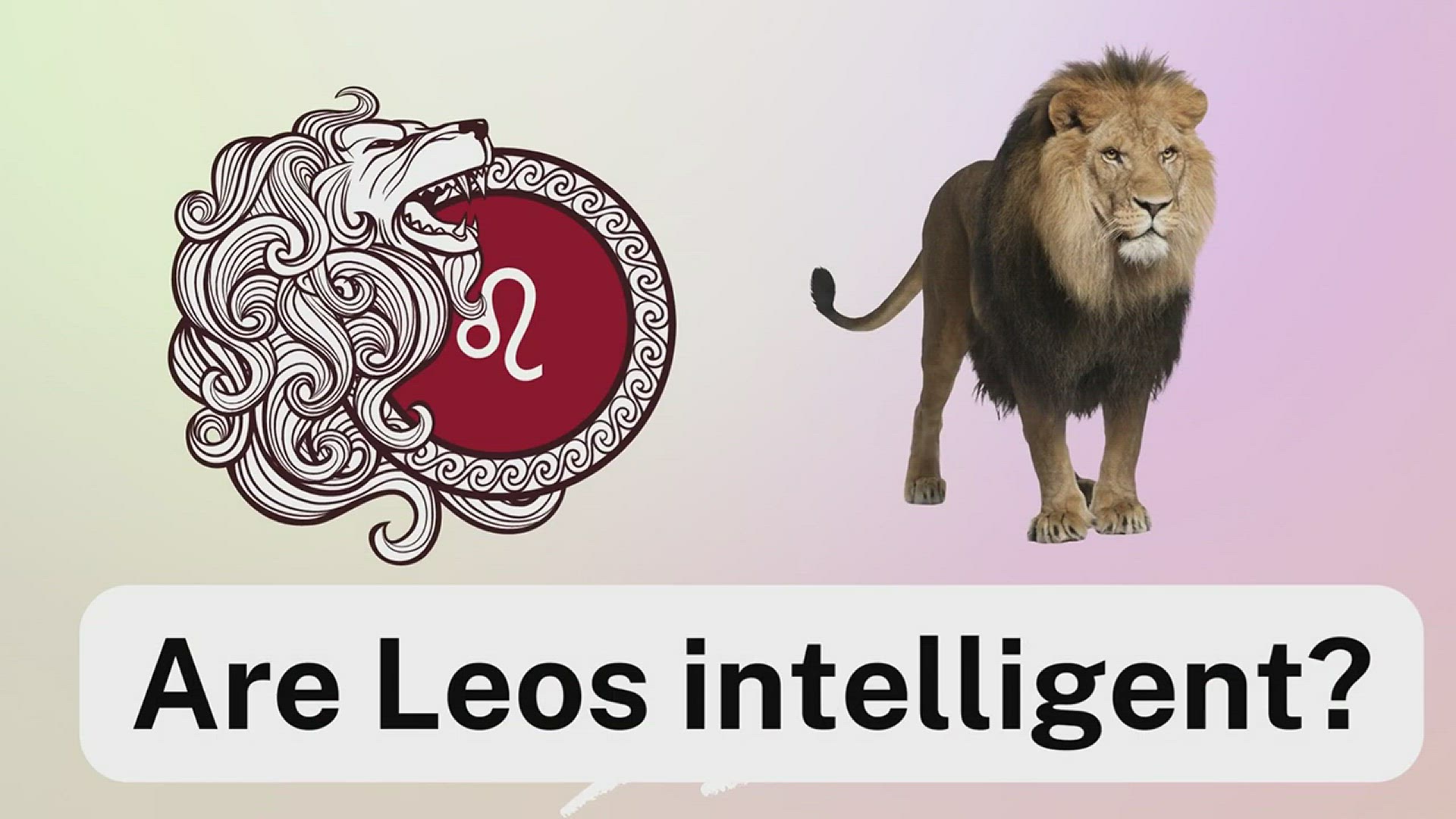 Video thumbnail for Are Leos intelligent-smart-video