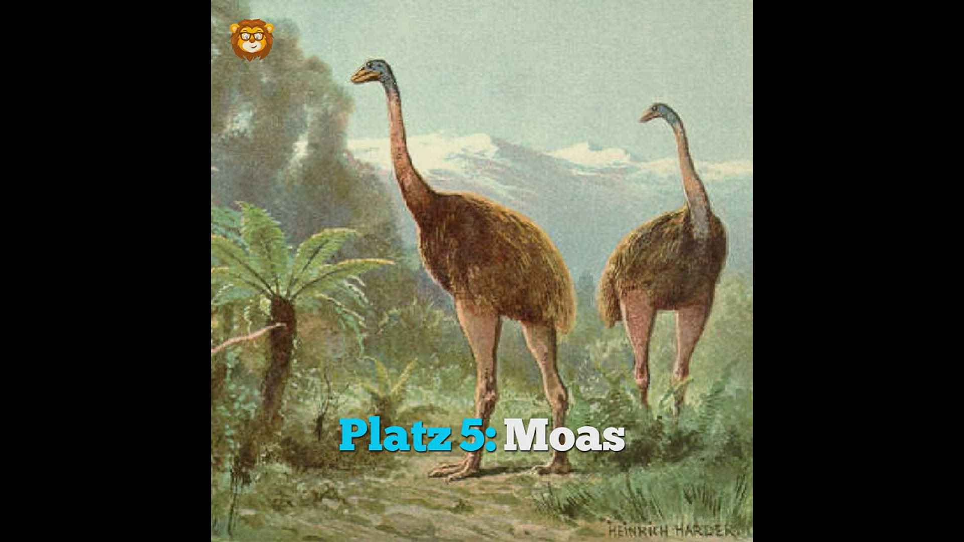 Video thumbnail for 5 Ausgestorbene Tiere Die Man Kennen Muss