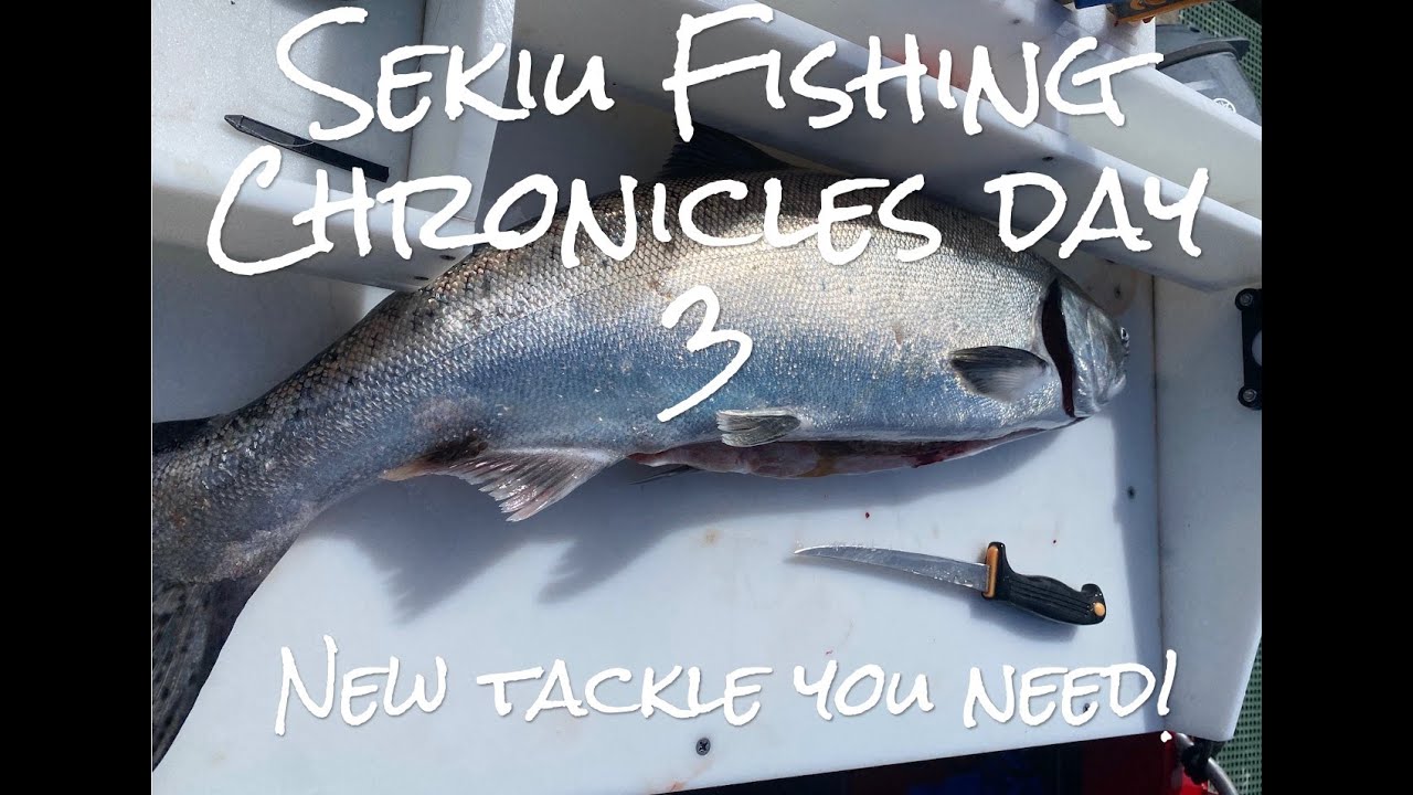 salmon fishing  SquidPro Tackle's Salmon Chronicles