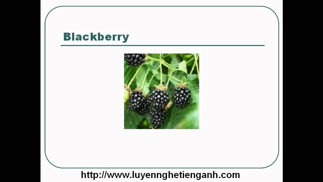 'Video thumbnail for Learn English Vocabulary Through Pictures - Topic - Fruits Lesson 01'