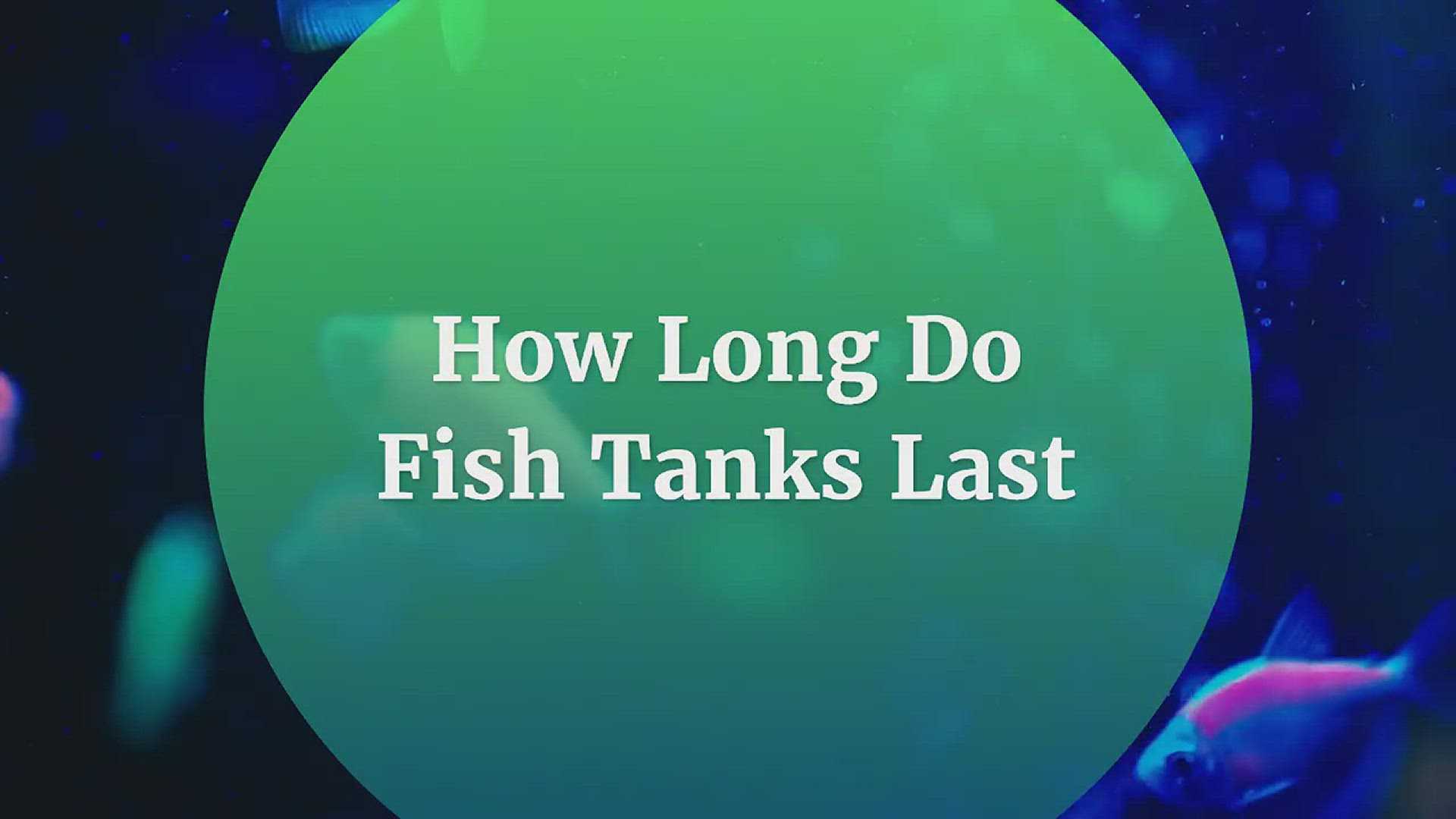 'Video thumbnail for How Long Do Fish Tanks Last'