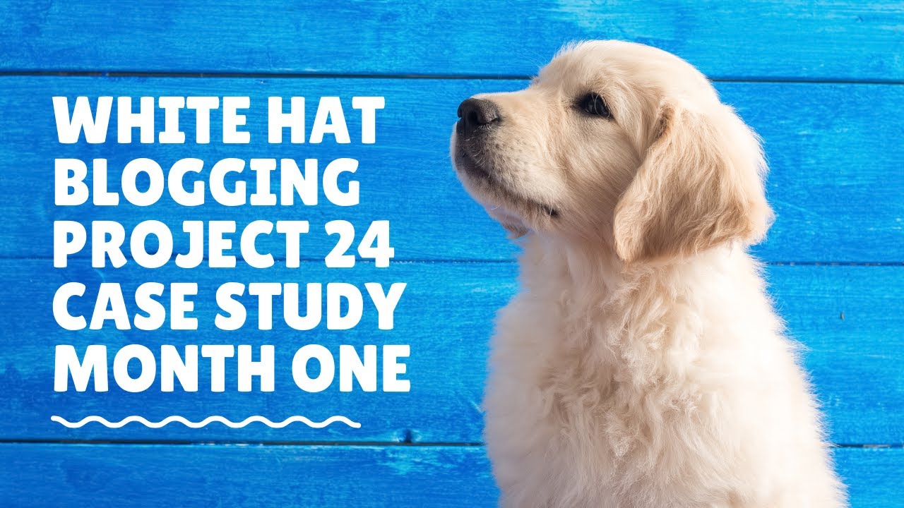 Playlist thumbnail for P24 Case Study