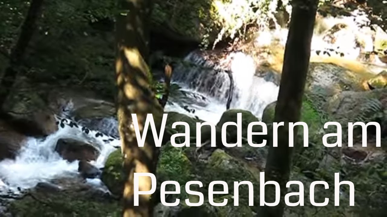 'Video thumbnail for Wandern im Pesenbachtal bei Bad Mühllacken'