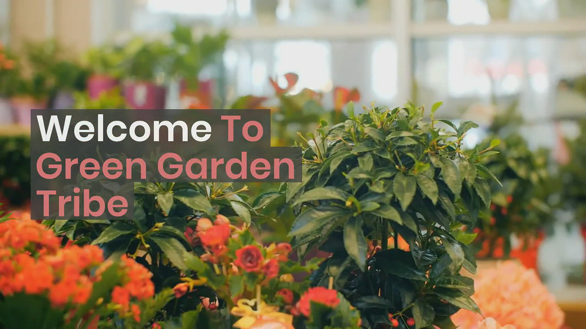 Video thumbnail for Welcome to Green Garden Tribe