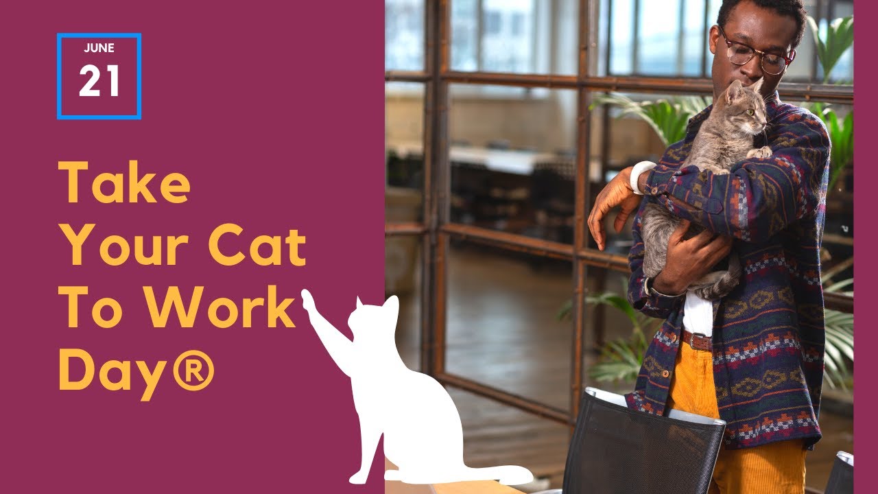 Video thumbnail for Take Your Cat to Work Day - June 21
