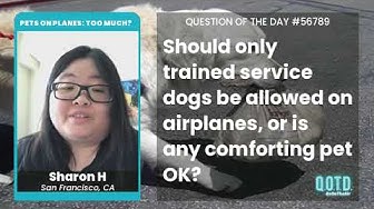 Video thumbnail for Sharon thinks service animals should only be dogs or cats. Fair enough!