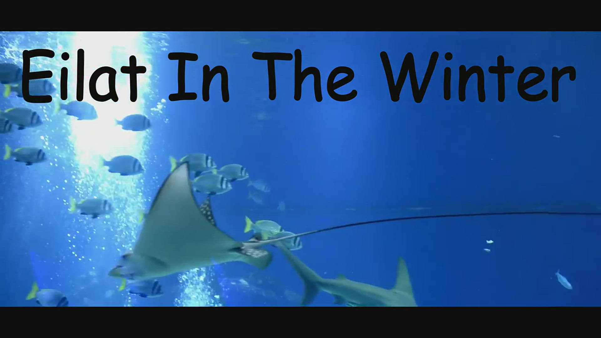 'Video thumbnail for Eilat in The Winter - אילת בחורף'