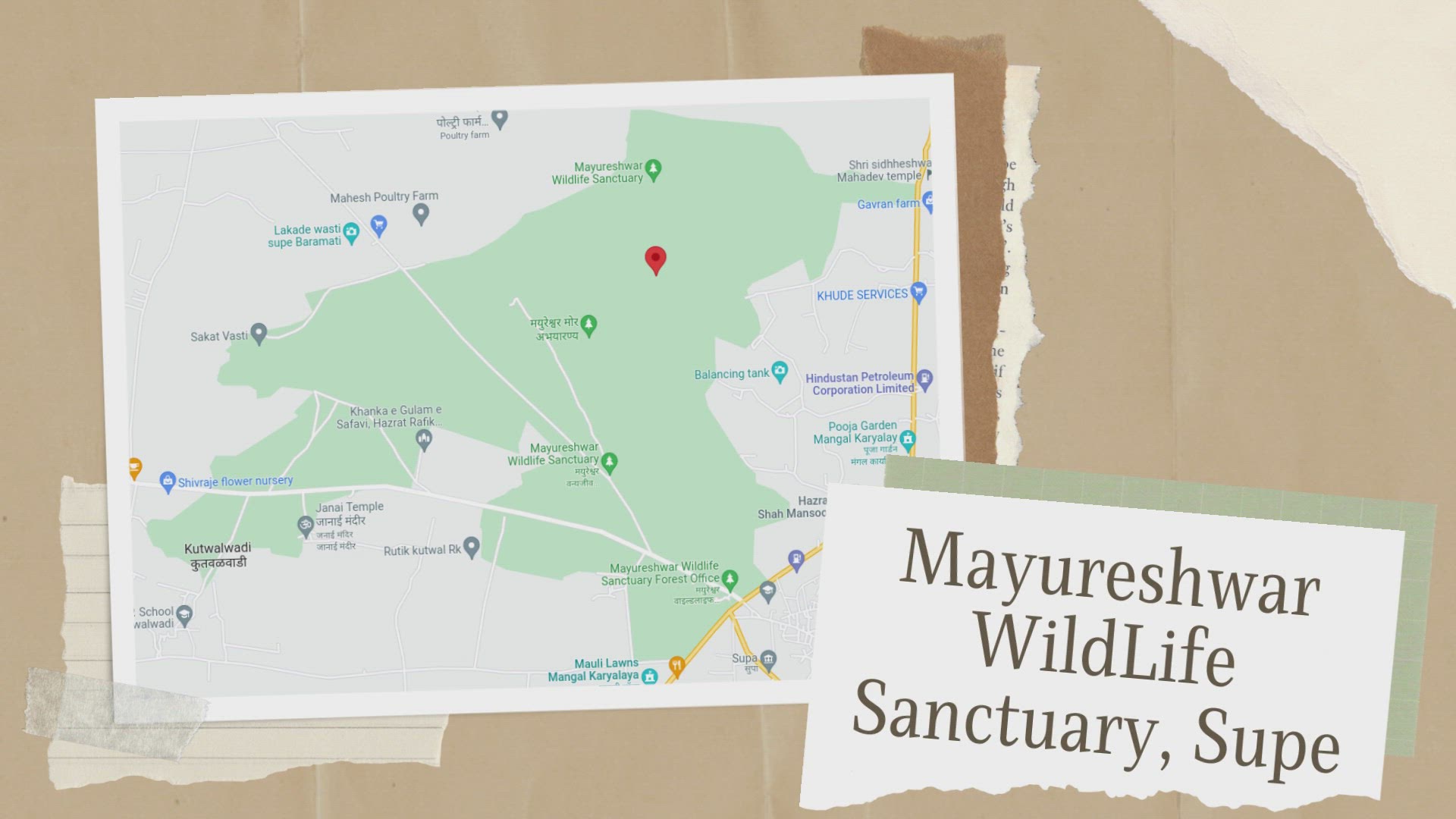 Video thumbnail for Mayureshwar WildLife Sanctuary, Supe, District Pune, Maharashtra