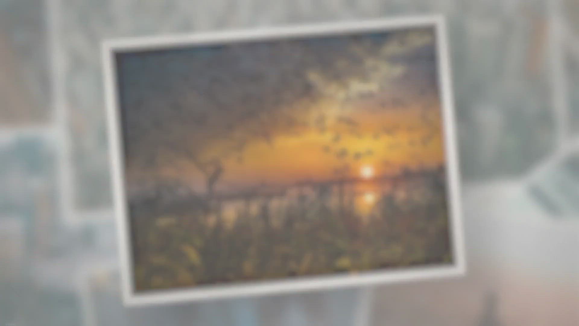 Video thumbnail for Where Do Geese Go in the Winter?