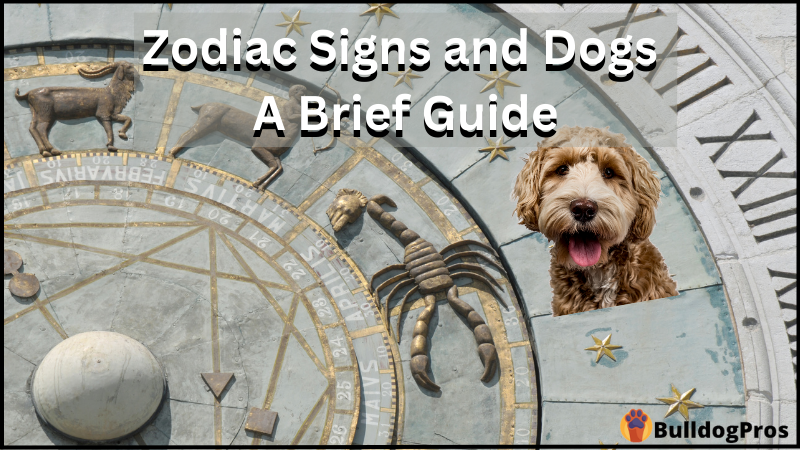 Take Advantage Of Your Astrology Language - Read These 99 Tips