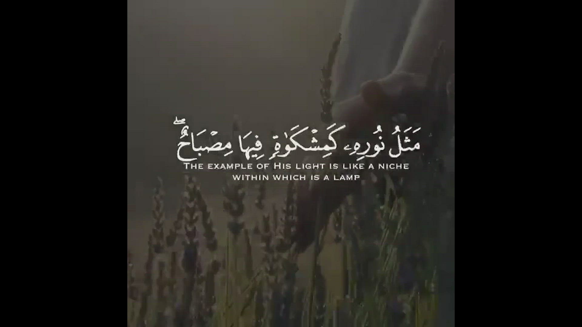 'Video thumbnail for Best beautiful recitation of Suratul Al-Nur'