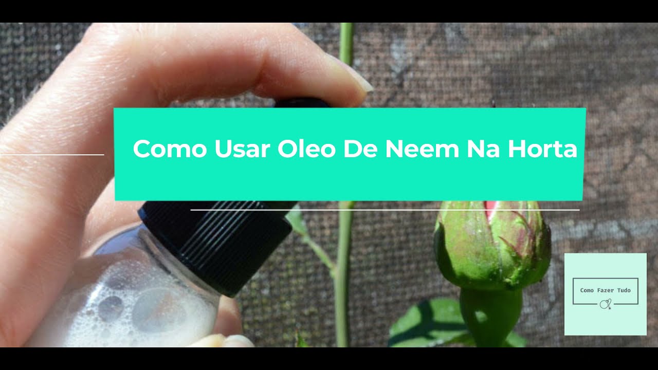 Video thumbnail for Como Usar Oleo De Neem Na Horta – Passo a Passo 🌱