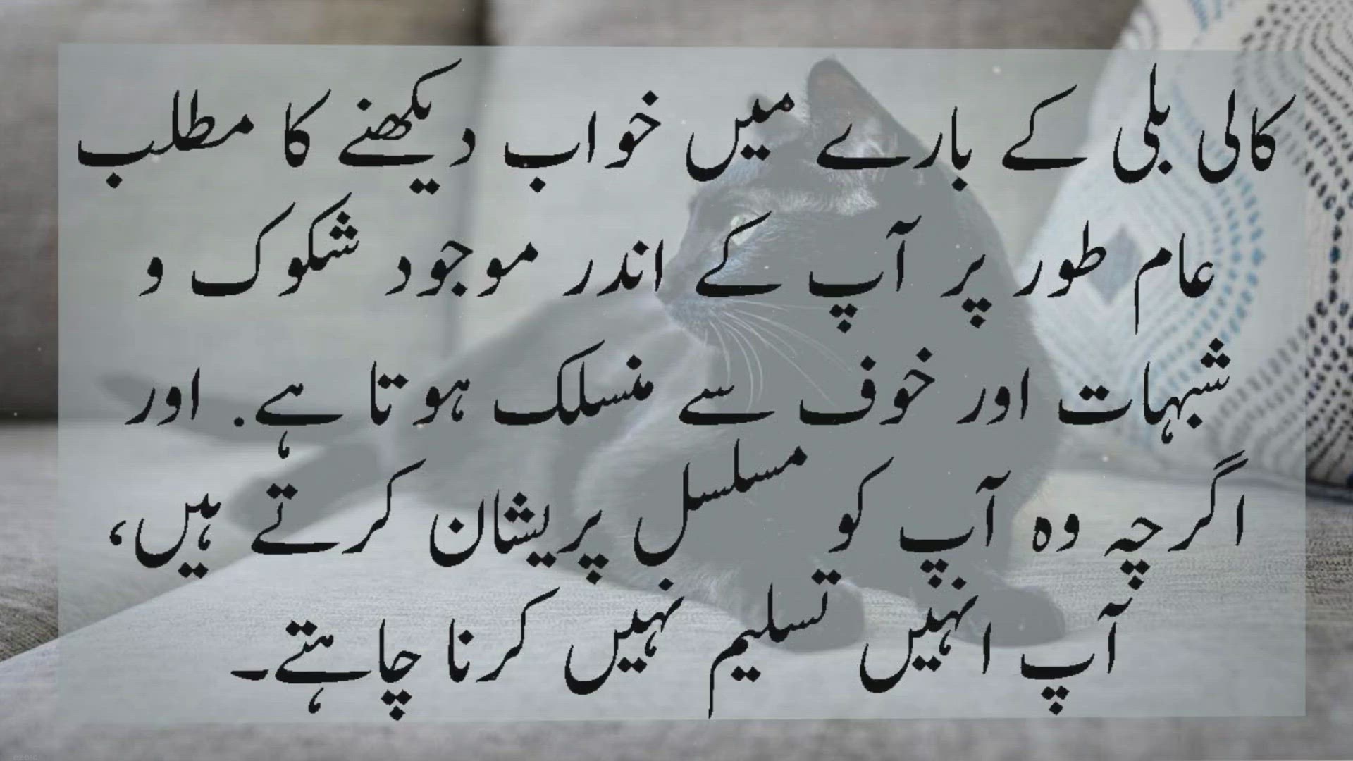 Video thumbnail for Kali Bili ko Khwab me Dekhnay ki Tabeer