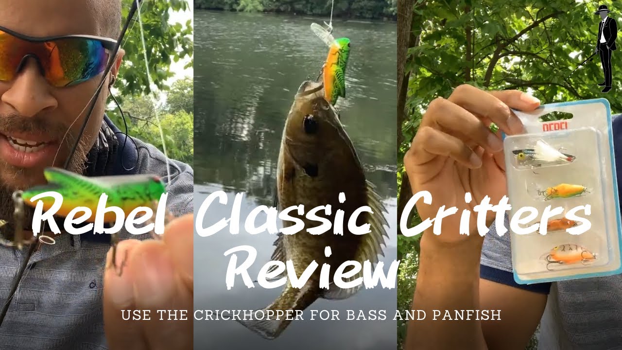 'Video thumbnail for Rebel Classic Critters Are Proven Fish Catchers - Use The Crickhopper For Bluegill and Bass!'