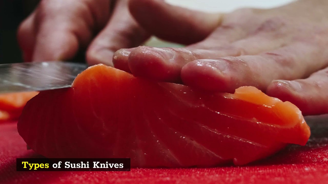 Different Types of Sushi Explained: Sashimi, Nigiri & More