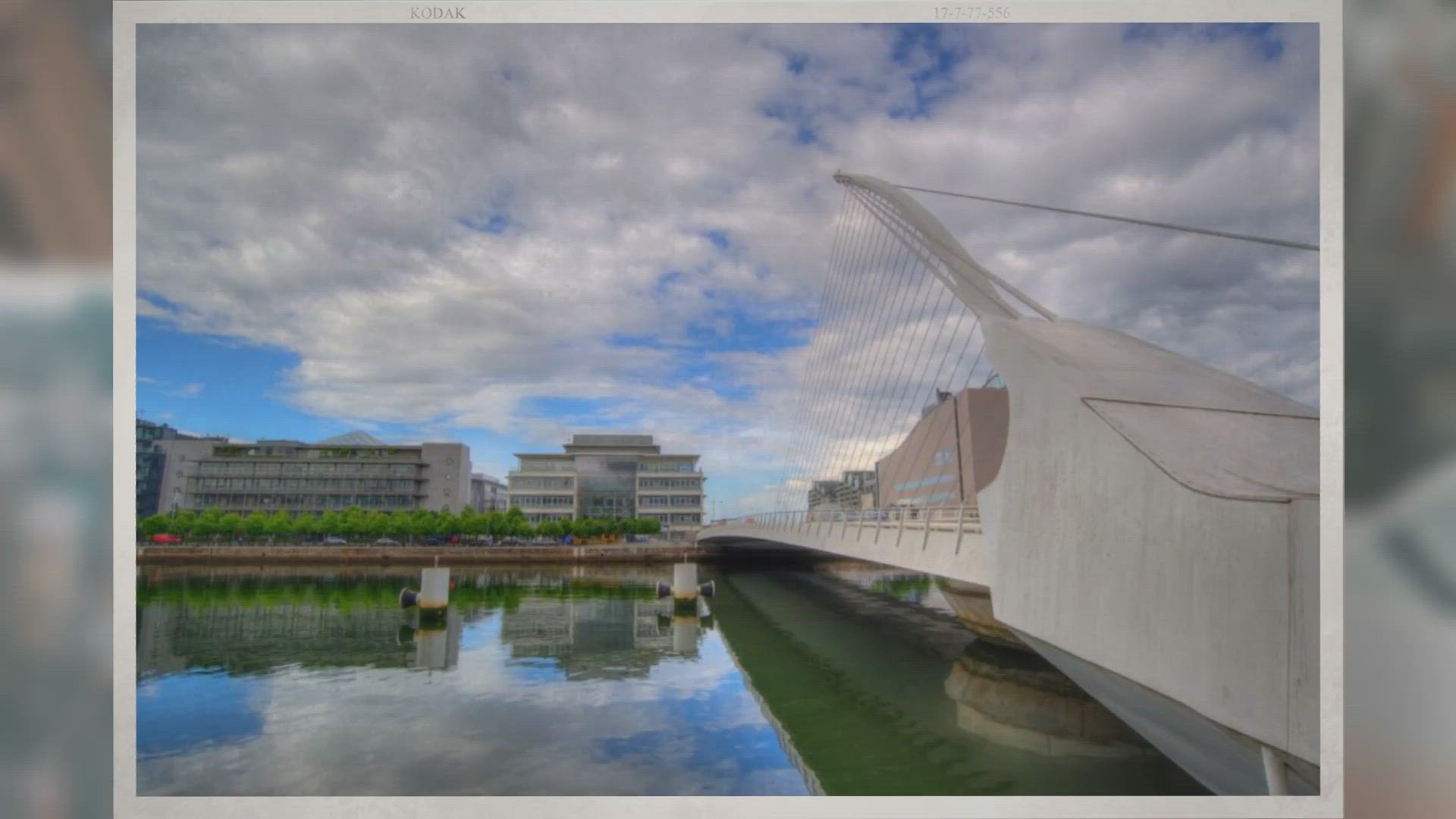 Video thumbnail for The Top 9 Pedal Harp Manufacturers