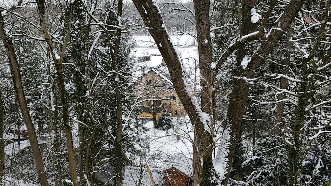 'Video thumbnail for Der Freisinger Hof Hotel & Restaurant am Englischen Garten in München'