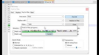 'Video thumbnail for Windows search text in files and folders with Notepad++'