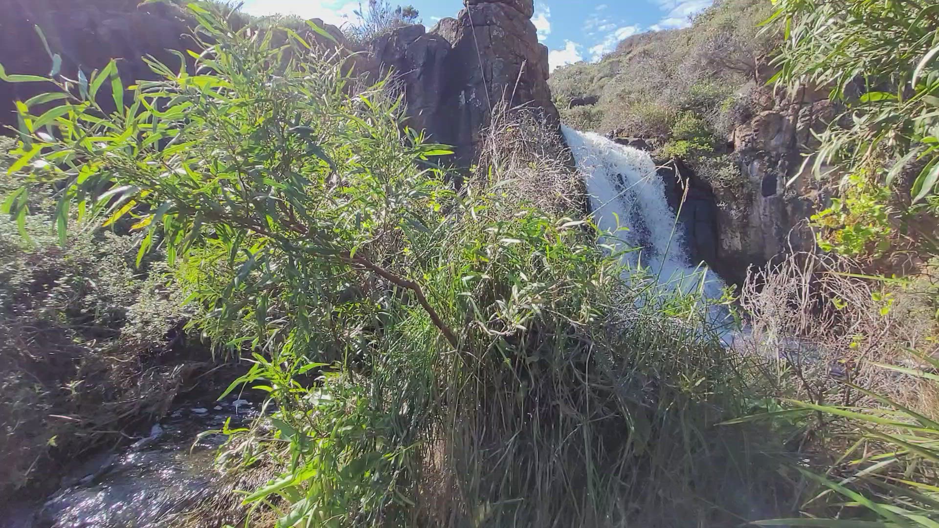 Video thumbnail for Quinninup falls 2