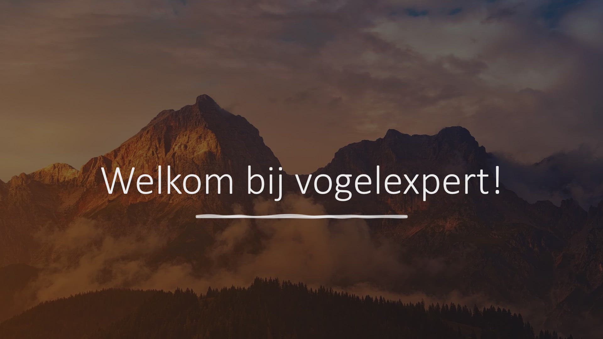 Video thumbnail for Wat mogen kromsnavels niet eten