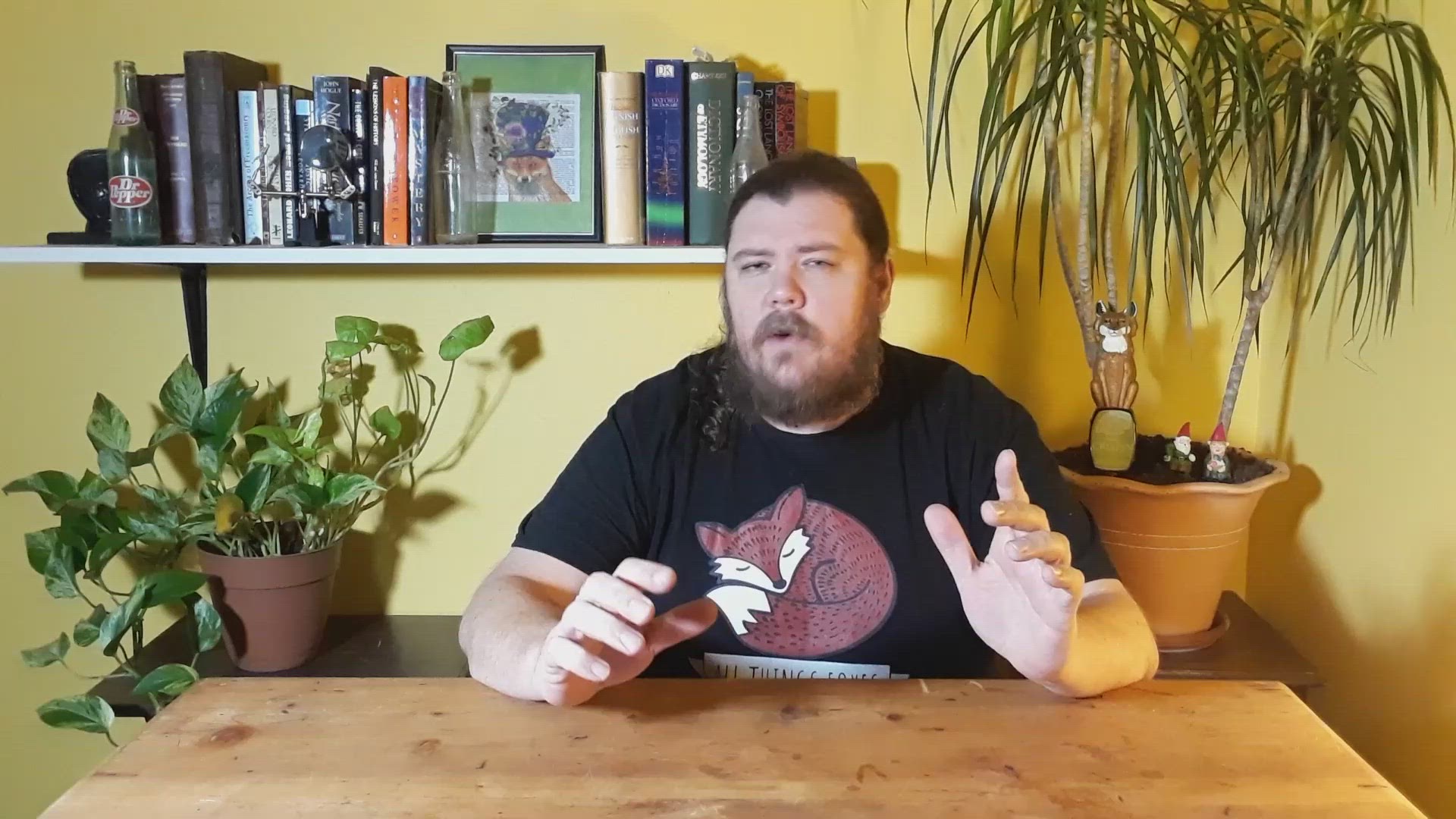 'Video thumbnail for How Long do Foxes Live?'
