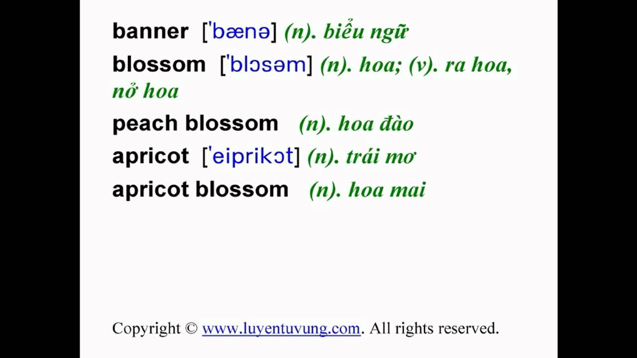 'Video thumbnail for Learn English Vocabulary - Grade 11 - Unit 08 - Lesson 01'