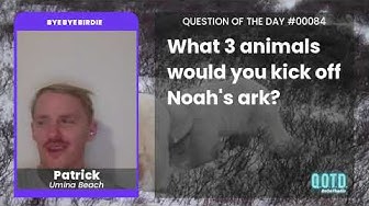 Playlist thumbnail for QOTD #00084: Bye Bye Birdie