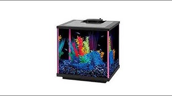 Video thumbnail for Reviews Aqueon 10 Gal Black Aquarium