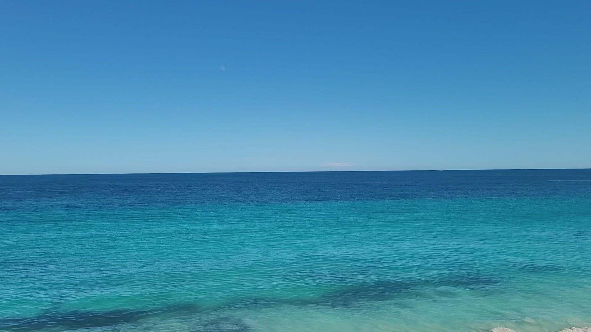 Video thumbnail for Seabird video 6