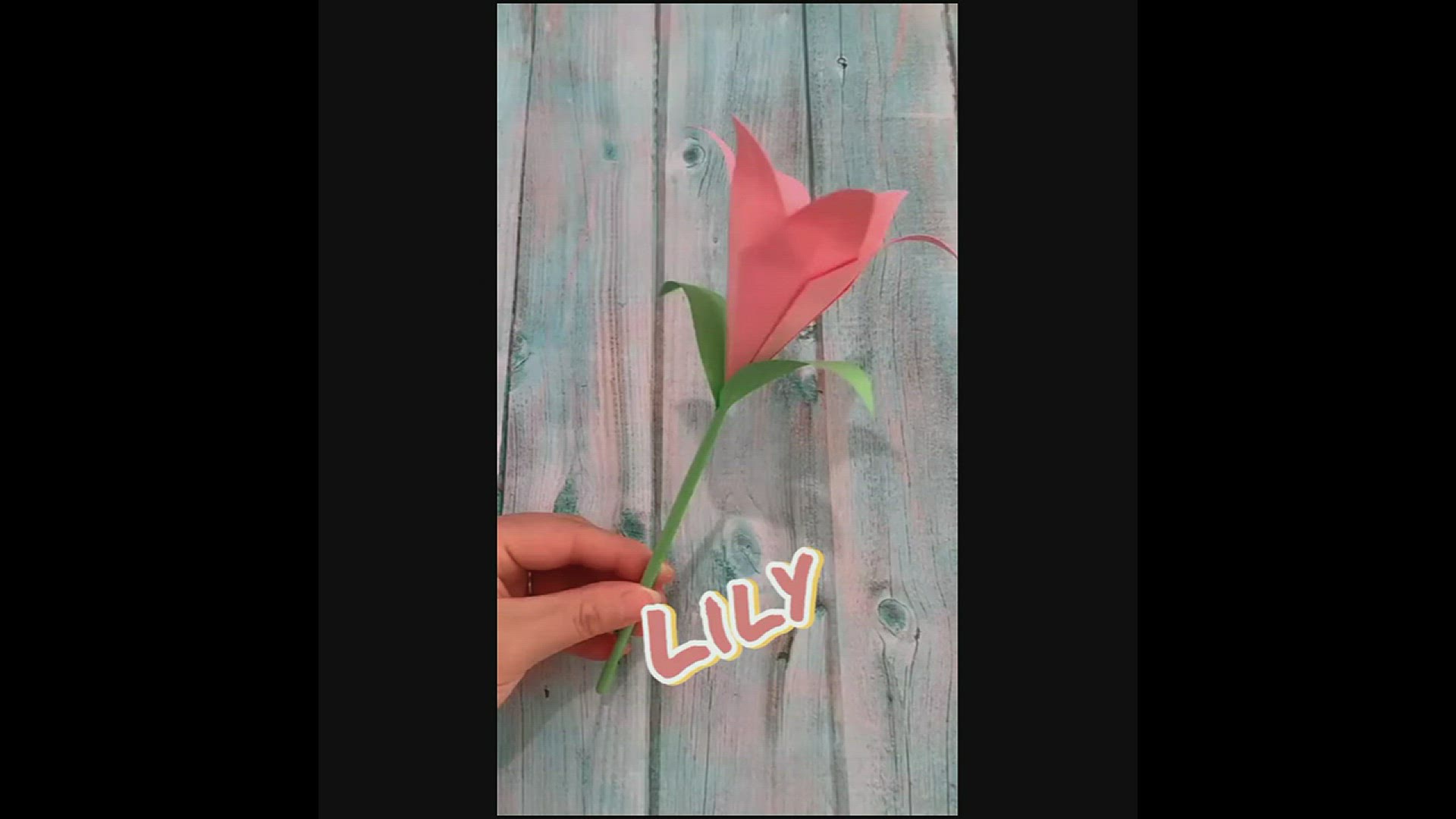Video thumbnail for amazing flower craft